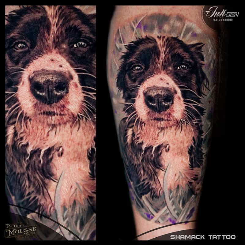 Two side-by-side tattoo designs of a black-and-white dog portrait on a forearm.